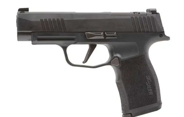 SIG SAUER P365 XL; 9x19mm; MA OK